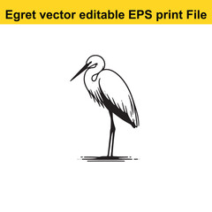 Vector Egret or Heron, standing and flyind