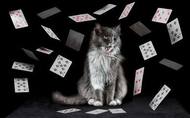playing cards fall on a black table