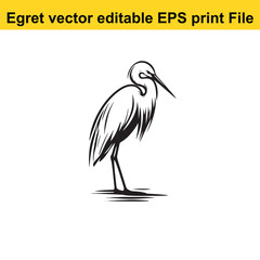 Vector Egret or Heron, standing and flyind