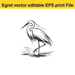 Vector Egret or Heron, standing and flyind