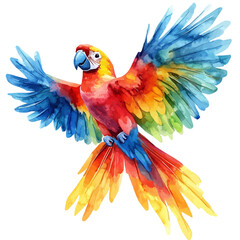 A watercolor of a parrot, isolated on a white background. Parrot vector.

