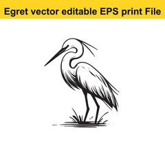 Vector Egret or Heron, standing and flyind