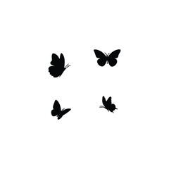 Butterfly flying with silhouette 