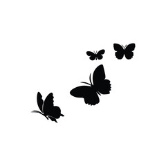 Butterfly flying with silhouette 
