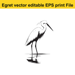 Vector Egret or Heron, standing and flyind