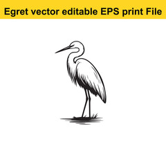 Vector Egret or Heron, standing and flyind