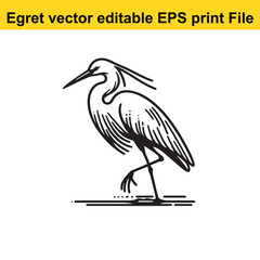 Vector Egret or Heron, standing and flyind