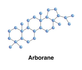 Arborane Class Pentacyclic Triterpene Organic Compounds four 6-membered Rings one 5-membered Ring. Biomarker Angiosperms Cordaites