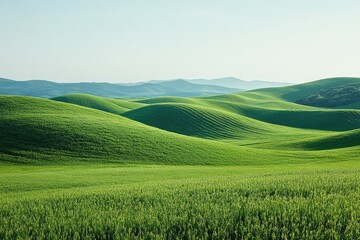 Fototapeta premium Rolling Green Hills Under a Blue Sky With Soft Clouds Create a Peaceful Landscape in a Tranquil Setting Perfect for Relaxation and Nature Appreciation