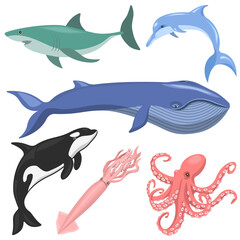 Collection of marine animals shark,dolphin,whale,octopus,squid,killer whale,isolated on a white background.Vector set of animals of the seas and oceans.