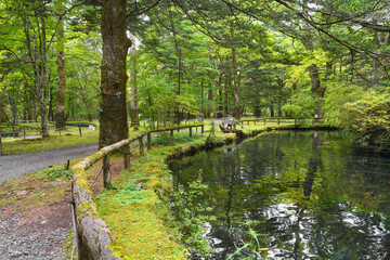 日光　さかなと森の観察園 マスや魚の水産研究所　コピースペースあり（日本栃木県日光市）Nikko Fish and Forest Observation Garden, Trout and Fish Fisheries Research Institute, Copy space available (Nikko, Tochigi Prefecture, Japan)