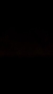 Abstract futuristic neon background, golden orange glowing lines, laser beams, light speed. Dynamic wave motion. 3d rendering digital animation 4K Looping seamless