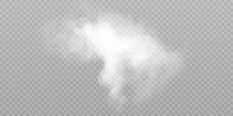 Smoke pattern on transparent background. Isolated smoke steam, smog, water vapor, vector illustration  © MAKSYM
