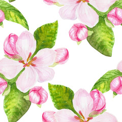 Seamless pattern with blooming spring flower. Apricot, cherry, pear,almond, apple, peach flowers. Hand drawn watercolor flowers, leaves and buds