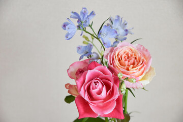 薔薇とデルフィニウム