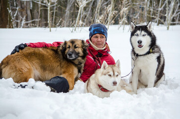 Young woman in red jacket with three dogs in snowy setting. Two huskies and mixed-breed dog sit calmly. Overcast sky and white snow create serene, winter mood