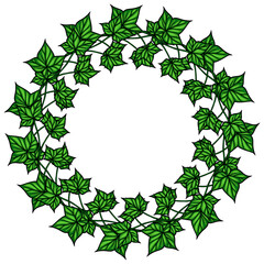 A circular wreath made of green ivy leaves, featuring a variety of leaf shapes and sizes, set against a white background.