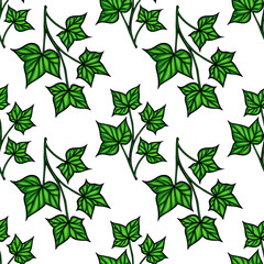 A vector seamless pattern featuring green ivy leaves on a white background. The leaves are detailed with varying shapes and sizes, creating a natural and vibrant design.