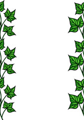 A decorative border featuring green ivy leaves on a white background, creating a natural and fresh aesthetic.
