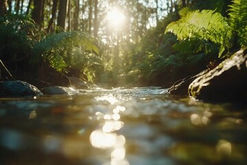 Fototapeta premium Sun shines through a forest stream, reflecting light on the water's shimmering surface