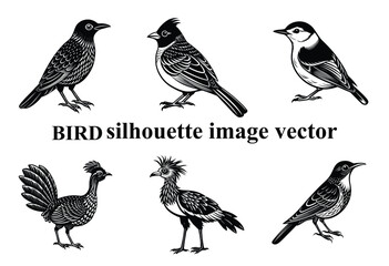 Graceful Wings in the Shadows: A Stunning Bird Silhouette,Silent Flight: The Beauty of a Bird in Silhouette Form