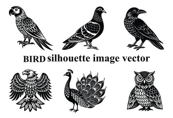  Graceful Wings in the Shadows: A Stunning Bird Silhouette,Silent Flight: The Beauty of a Bird in Silhouette Form