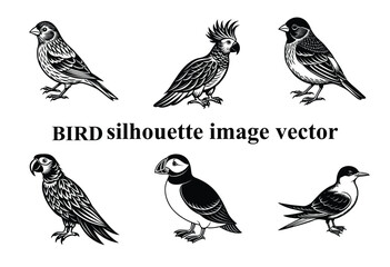  Graceful Wings in the Shadows: A Stunning Bird Silhouette,Silent Flight: The Beauty of a Bird in Silhouette Form
