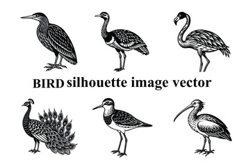 Obraz premium Graceful Wings in the Shadows: A Stunning Bird Silhouette,Silent Flight: The Beauty of a Bird in Silhouette Form