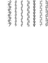 İllustration,vector,design,brush lace tecnicals,brush lace drawing,decorative borders,Elegant lace decorative borders,decorative borders drawings.lace border,fashion lace brush,lace drawings,