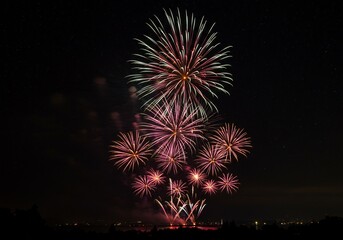 Fototapeta premium 夜空に咲く華麗な花火、ピンクと白の光が美しく輝く