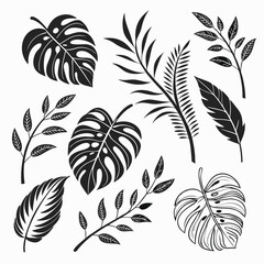 flower with buds and leaves, vector collection and Rose silhouette on a transparent background.