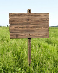 Blank wooden signpost in grassy field (2)