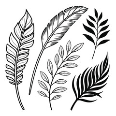Obraz premium flower with buds and leaves, vector collection and Rose silhouette on a transparent background.