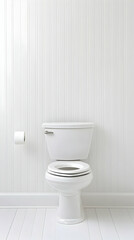 Clean white toilet and toilet paper against a white paneled wall
