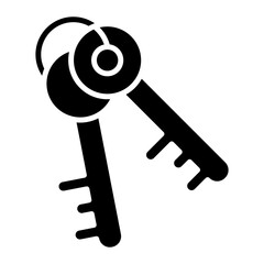 Security Key Icon