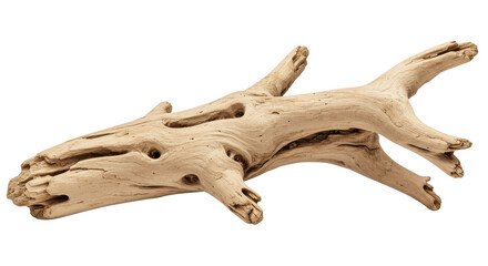 Isolated Driftwood
