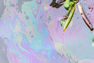 Vegetable oil contaminates the river
