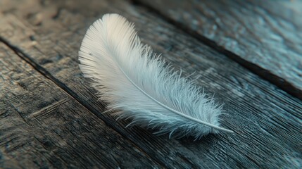 Delicate white feather resting on dark wooden planks.
