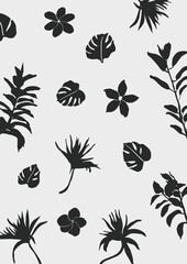 hand drawn clean simple tropical plants design