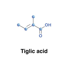 Tiglic Acid Monocarboxylic Unsaturated Organic Acid. Molecular Print of Secretion of Certain Beetles Found In Croton Oil