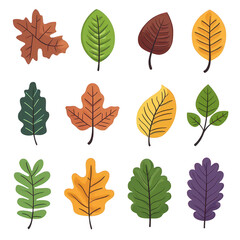 Fototapeta premium A variety of colorful leaves displayed in different shapes and sizes on a black background, showcasing the beauty and diversity of nature.
