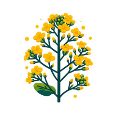 Vector illustration of yellow mustard flower branch in bloom. Excellent for botanical art and seasonal garden inspiration.