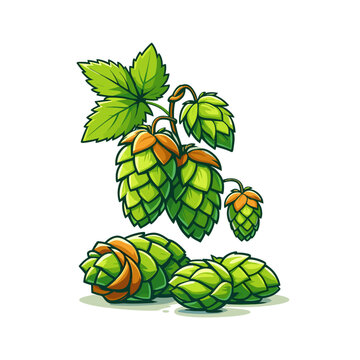 Vector illustration of green hop plant with cones and leaves. Ideal for craft beer branding, brewery marketing, beverage packaging, and natural ingredient promotions.
