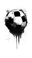 A classic black and white soccer ball rests on a grassy field, its hexagonal and pentagonal panels contrasting sharply. The sun casts soft shadows, highlighting its textured surface.