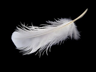 Obraz premium White Feather Macro - Delicate Downy Texture Nature Background | Soft, Light, Artistic Plumage
