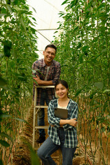 Male and female farmers pose among growing bell peppers