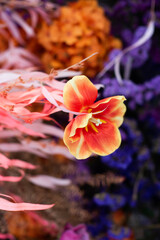 flower in water