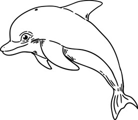 sketch pink dolphin