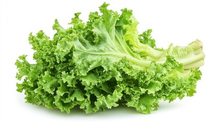 Vegetable Plant Green Food Isolated on White