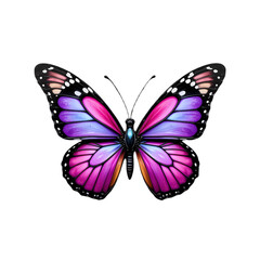 Obraz premium Purple Butterfly Image on Transparent background